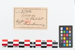 Etikett zu Bernsteinperle (NHMW-PRAE-025702)